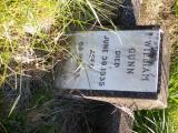 image of grave number 455237